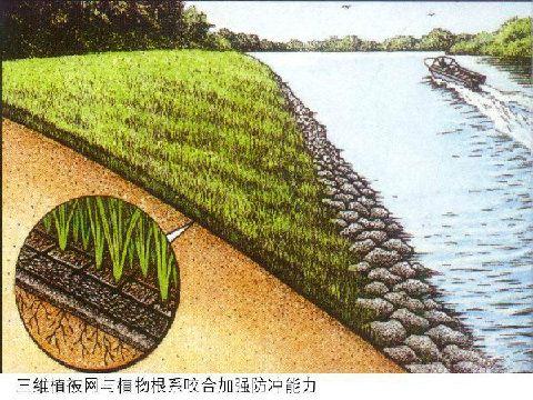 廣西三維植被網(wǎng),三維土工網(wǎng)墊價(jià)格